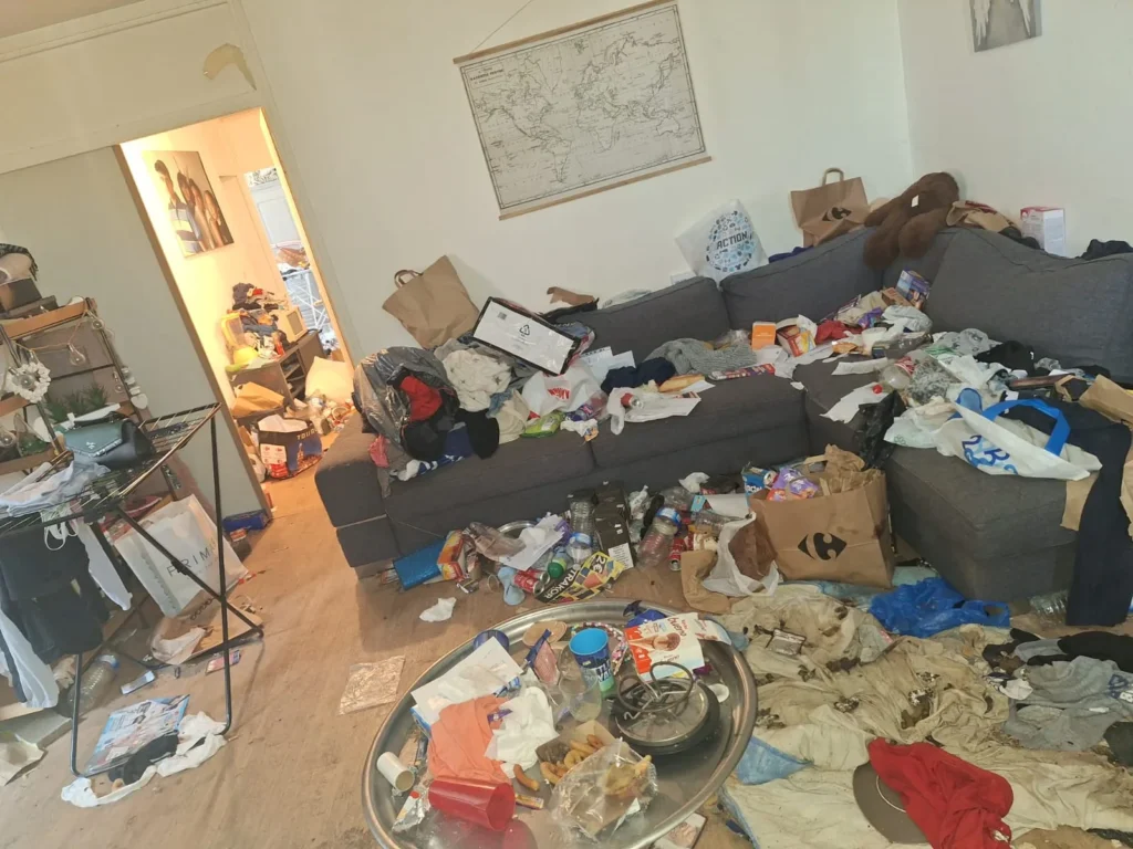 Nettoyage extrême en Île-de-France : Un marché en pleine croissance
